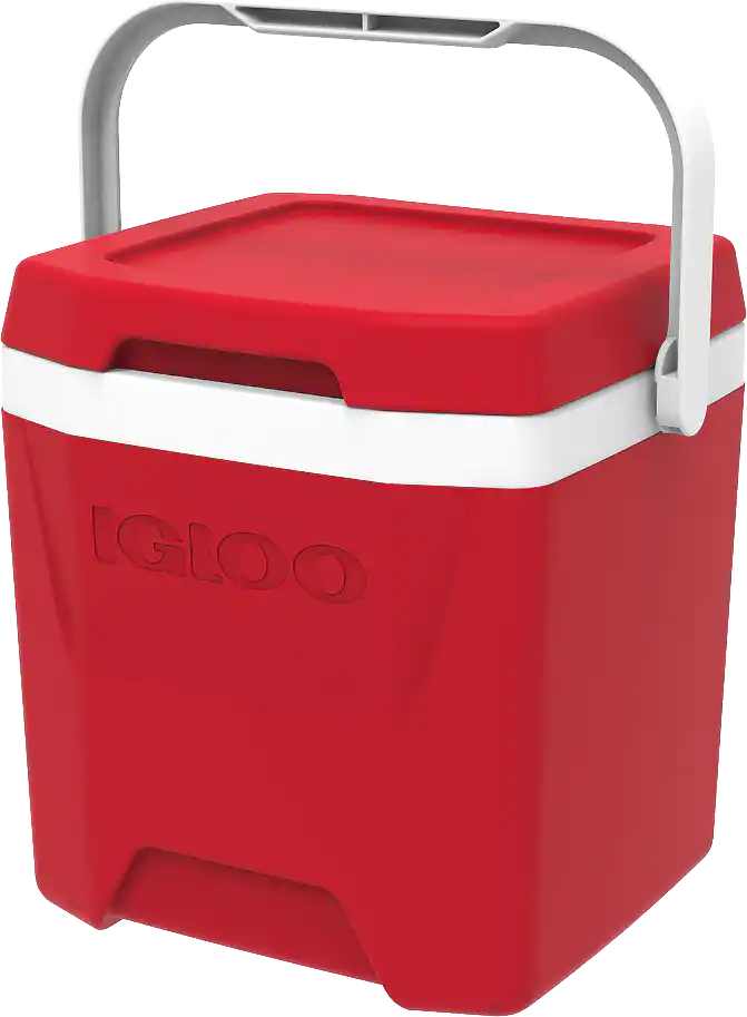 Igloo cooler 12 2024 qt