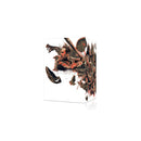 The Walking Dead Complete Collection (Seasons 1-11)