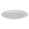 6-in Bagasse Plates 10 packs of 50