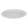 10-in Bagasse Plates 5 packs of 50