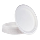 10-in Bagasse Plates 5 packs of 50