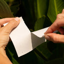 Tru Earth Eco-Strips Fresh Linen Laundry Detergent, 116 Wash Loads