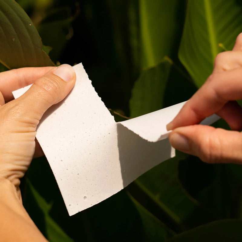 Tru Earth Eco-Strips Fresh Linen Laundry Detergent, 116 Wash Loads