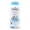 Light Ocean Mist In-Wash Scent Booster – 1131 g