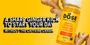 DOSE Organic Ginger & Turmeric Daily Booster Shots 60 mL (2 fl oz) × 48 bottles
