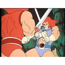 Thundercats: The Season 1-2 Series (DVD)