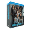 Shameless: The Series Season 1-11 (DVD)