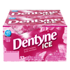 Dentyne Ice Artic Bubble Sugar-free Gum 12 packs of 12