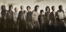 The walking dead: The Complete seasons 10 & 11 (DVD) -English only