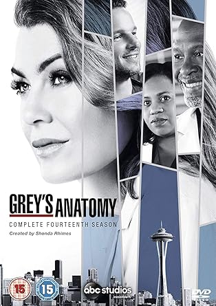 Grey's Anatomy Season 14 [DVD]