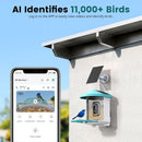 Dragon Touch Smart Bird Feeder with Camera, 1080P Bird Feeder Camera with 3 Solar Panels 7.4W Super Power, AI Identify 11,000+ Species, WiFi, Auto Capture Bird Video, Real-Time View (Nearer 4)