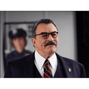 Blue Bloods: The Final Season (DVD)