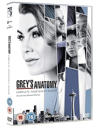 Grey's Anatomy Season 14 [DVD]