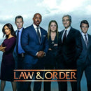 Law & Order Season 23 (DVD), English only