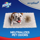Easy Clean Carpet Foam Spray Refill, 2-Pack – Stain & Odor Remover