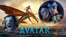 Avatar: The Way of Water (DVD) English only