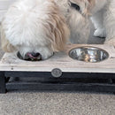 Bowser & Meowser Earth Friendly Recycled Wood Pet Feeding Dish, 2 Tone