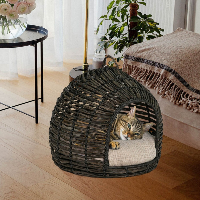 Bowser & Meowser Resin Wicker Hide Away Pet Bed with Handle