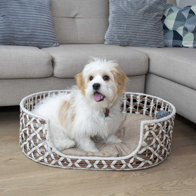 Bowser & Meowser Resin Wicker Pet Bed, Oval