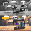 Cicilyna 2 Pack Under Sink Organizer, 2 Tier Bathroom Cabinet Organizers and Storage with Hook, Multi-purpose Storage Basket Shelf for Kitchen, Black