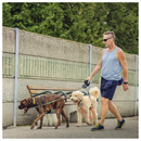 HENU Double Retractable Dog Leash – 360° Tangle-Free Dual Dog Leash for Walking 2 Dogs up to 50lbs Each, 3M Long Nylon Cords, Durable ABS Shell