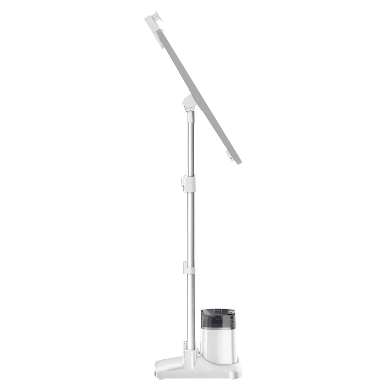 Rowenta IXEO Full Size Upright Steamer