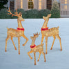 Set of 3 LED Deer Family