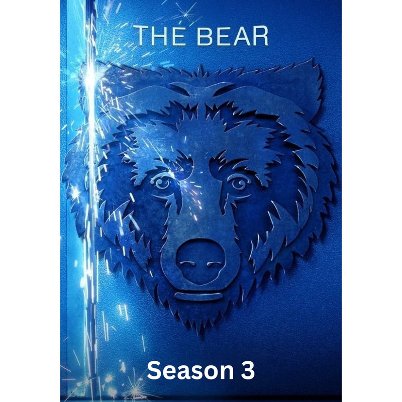 The bear season 3 DVD, English only