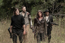 The walking dead: The Complete seasons 10 & 11 (DVD) -English only