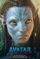 Avatar: The Way of Water (DVD) English only