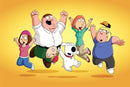 Family Guy Complete Season 1-22 (DVD)-English only