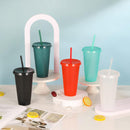 10 Pack Tumbler with Straw and Lid Bulk Reusable Plastic Cups Plastic Drinking Straw Tumbler Iced Coffee Cup Water Bottle for Parties Birthdays (24 oz, Assorted Color)