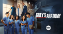 Grey’s Anatomy season 17 and 18 [DVD]-English only