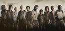 The Walking Dead Complete Series Season 1-11 DVD (English only)