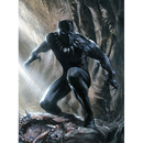 Black Panther: 1-2 Film collection [DVD]