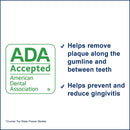 Waterpik ADA Accepted WP-663 Aquarius Water Flosser - Blue