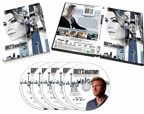 GREY'S ANATOMY SEASON 14 (DVD)- English only