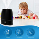 Everlasting Comfort Cool Mist Humidifier for Bedroom (6L)