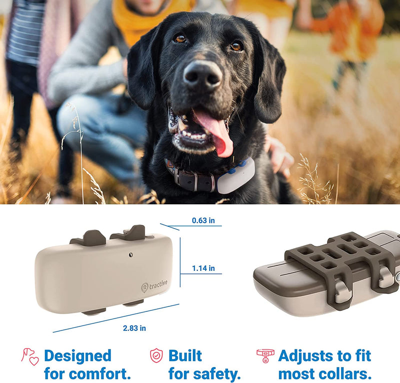 Tractive GPS Pet Tracker for Dogs  Waterproof, GPS Location & Smart Activity Tracker