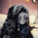 Everlasting Comfort Luxury Faux Fur Throw Blanket (Black)