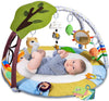 Lupantte Lion Baby Gym Play Mat with 9 Toys for Sensory and Motor Skill Development Language