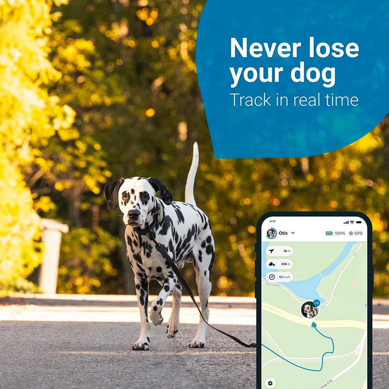 Tractive GPS Pet Tracker for Dogs  Waterproof, GPS Location & Smart Activity Tracker