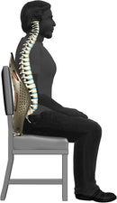 DR-HO'S Perfectback Rest - Black