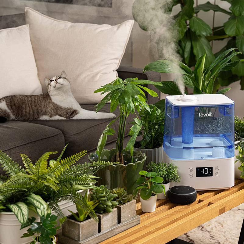LEVOIT Humidifier for Bedroom for Plants,6L Essential Oil Tray, Smart Control, Work with Alexa, Auto Mode, Night Light