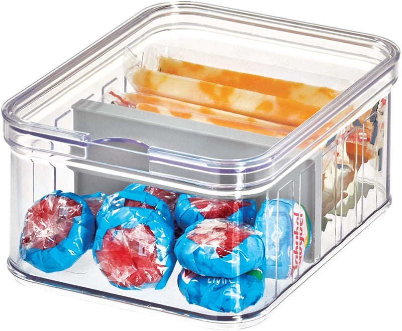 iDesign Crisp Plastic Refrigerator and Pantry Divided Bin Food Storage Box