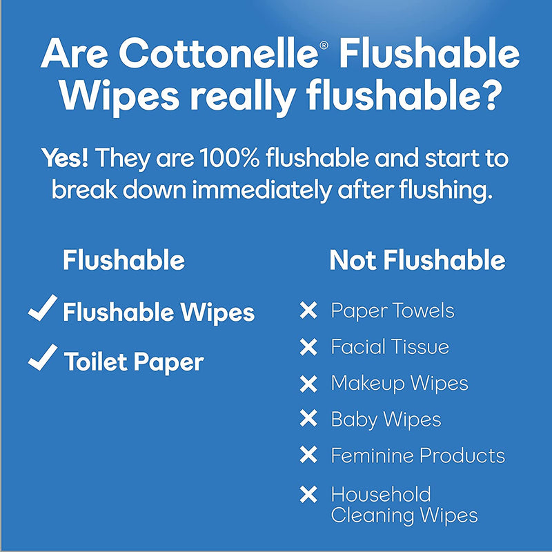 Cottonelle Flushable Wipes, 24 On-The-Go Travel Packs (2 Trays of 12), 24 Packs of 14 Wipes