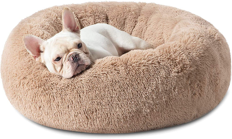 Bedsure Small Dog Bed Washable - Self Calming Dog Beds