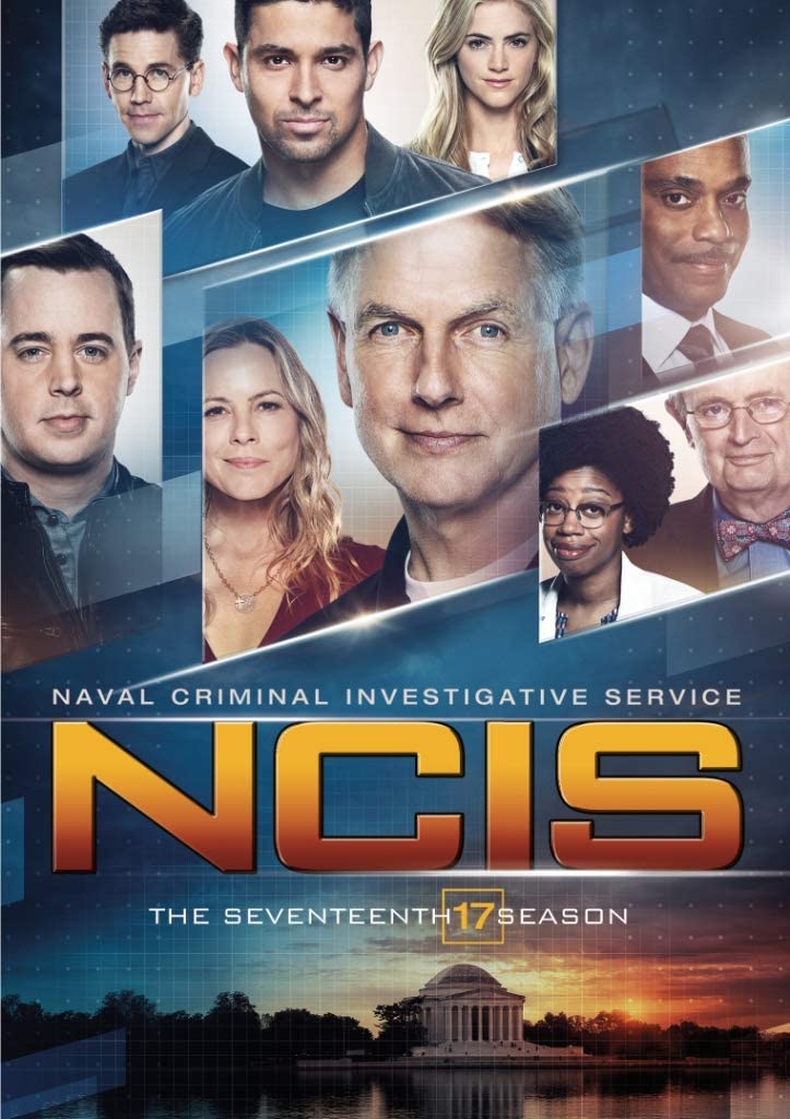 NCIS: The Seventeenth Season DVD (English only)