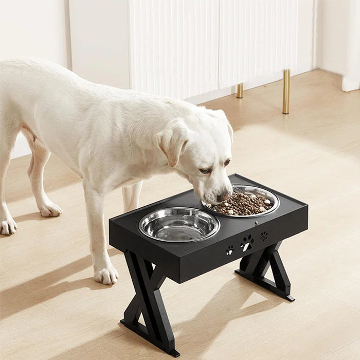 Stainless Adjustable Raised Dog Double Bowls