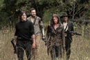 The walking dead: The season 11 (DVD)